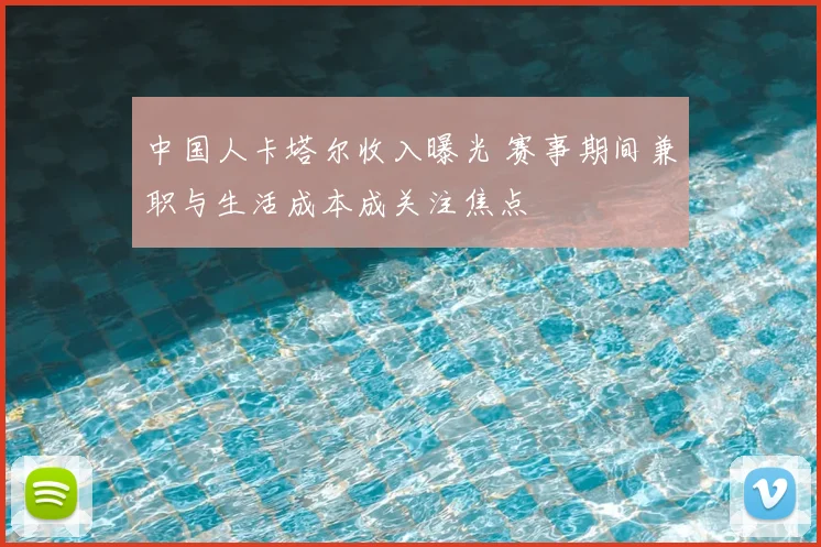 中国人卡塔尔收入曝光 赛事期间兼职与生活成本成关注焦点